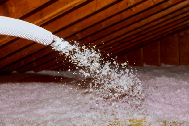 Best DIY Insulation Kits and Guidance in Elwood, IN