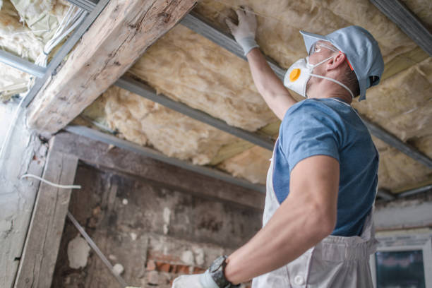 Best Insulation Maintenance and Repair in Elwood, IN