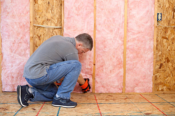 Best DIY Insulation Kits and Guidance in Elwood, IN
